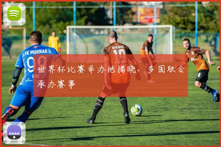 世界杯比赛举办地揭晓，多国联合承办赛事