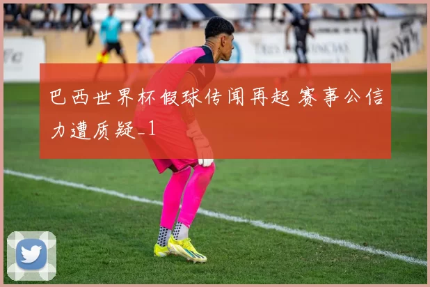 巴西世界杯假球传闻再起 赛事公信力遭质疑_1