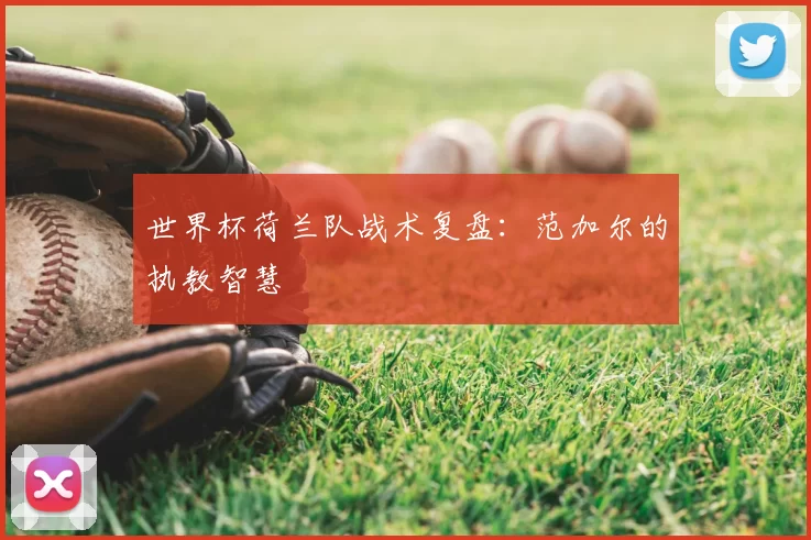 世界杯荷兰队战术复盘：范加尔的执教智慧