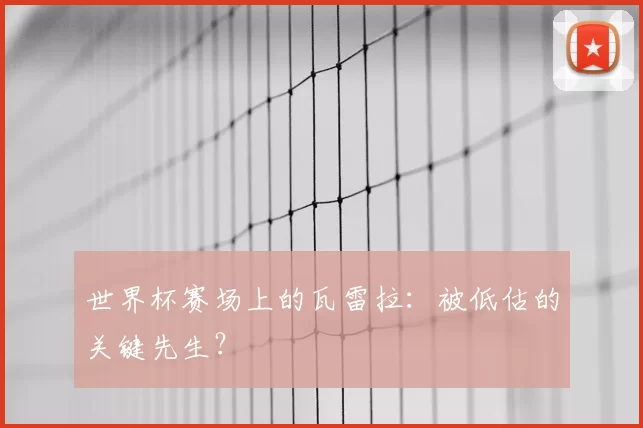 世界杯赛场上的瓦雷拉：被低估的关键先生？
