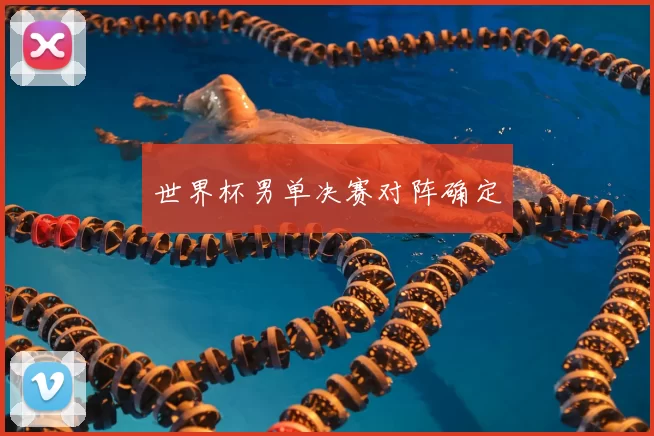 世界杯男单决赛对阵确定
