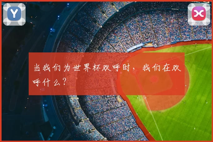 当我们为世界杯欢呼时，我们在欢呼什么？