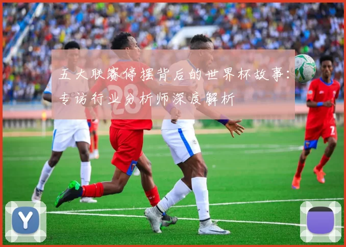 五大联赛停摆背后的世界杯故事：专访行业分析师深度解析