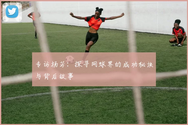 专访杨芳:探寻网球界的成功秘诀与背后故事