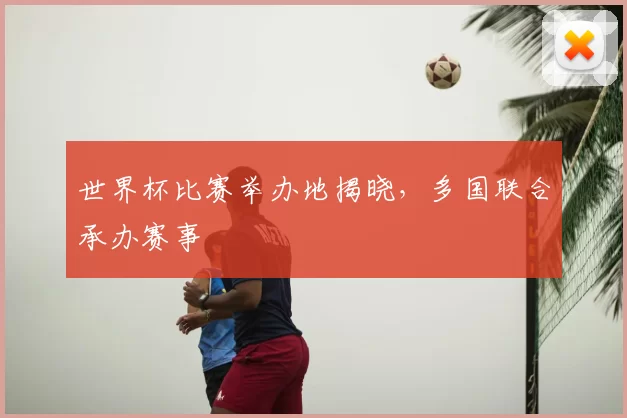 世界杯比赛举办地揭晓，多国联合承办赛事