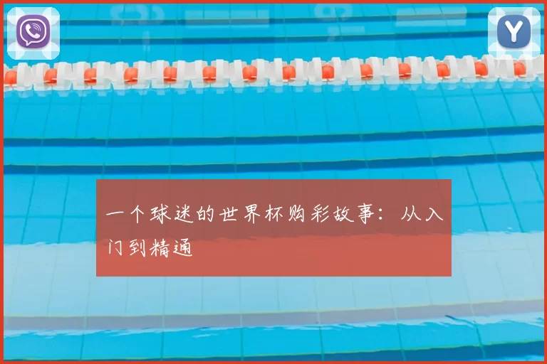 一个球迷的世界杯购彩故事：从入门到精通