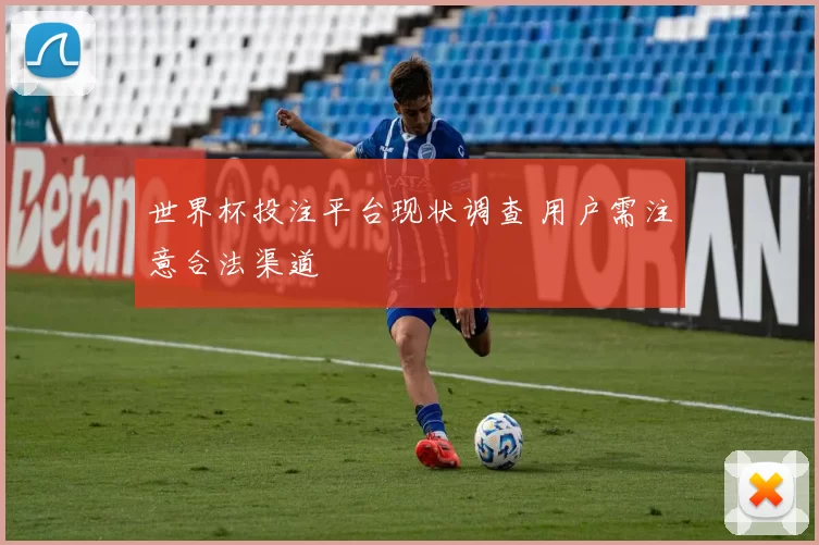 世界杯投注平台现状调查 用户需注意合法渠道