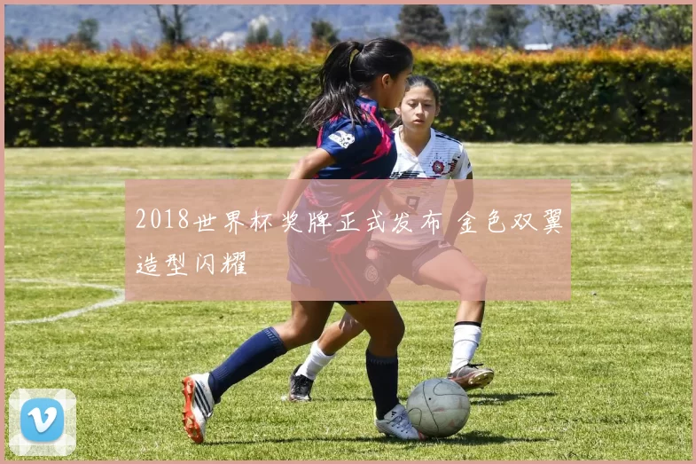 2018世界杯奖牌正式发布 金色双翼造型闪耀