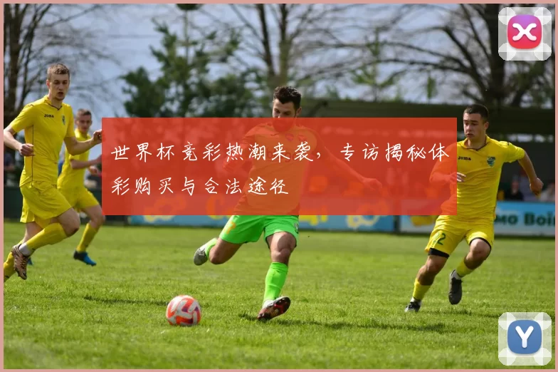 世界杯竞彩热潮来袭,专访揭秘体彩购买与合法途径