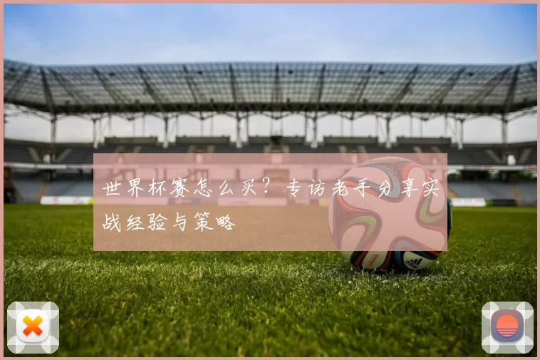 世界杯赛怎么买?专访老手分享实战经验与策略