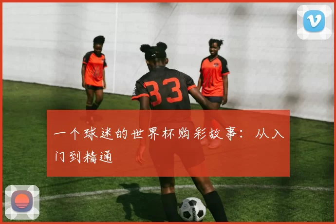一个球迷的世界杯购彩故事：从入门到精通