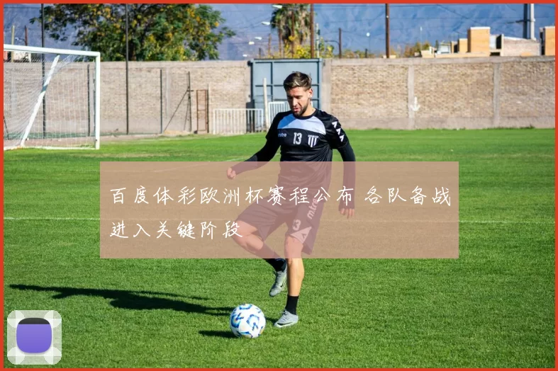 百度体彩欧洲杯赛程公布 各队备战进入关键阶段